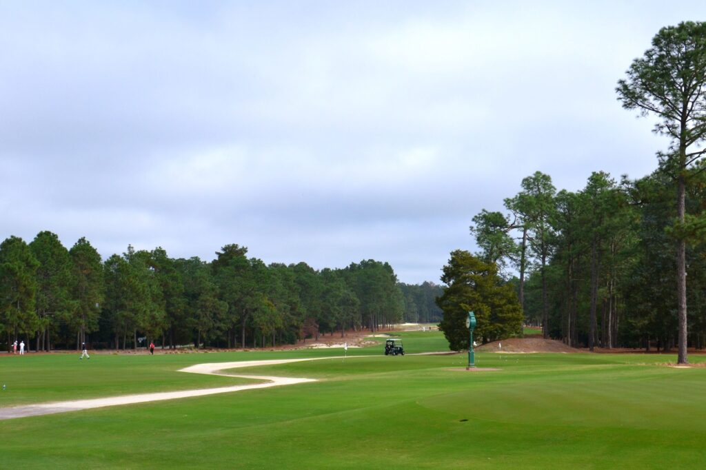 Golfers on a golf course putting golfing with golf carts, Pinehurst NC MargJohnsonVA